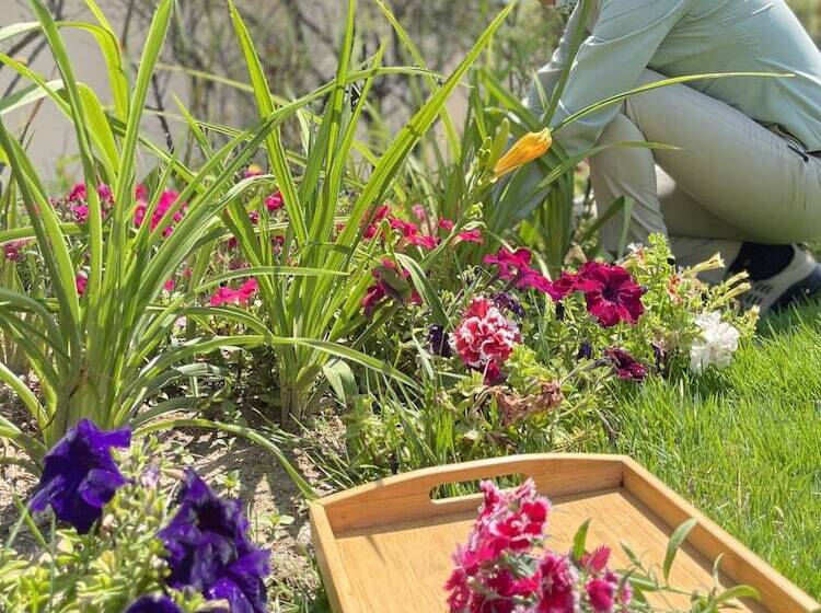 The Terraces Resort And Spa