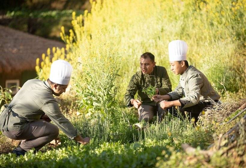 The Terraces Resort And Spa