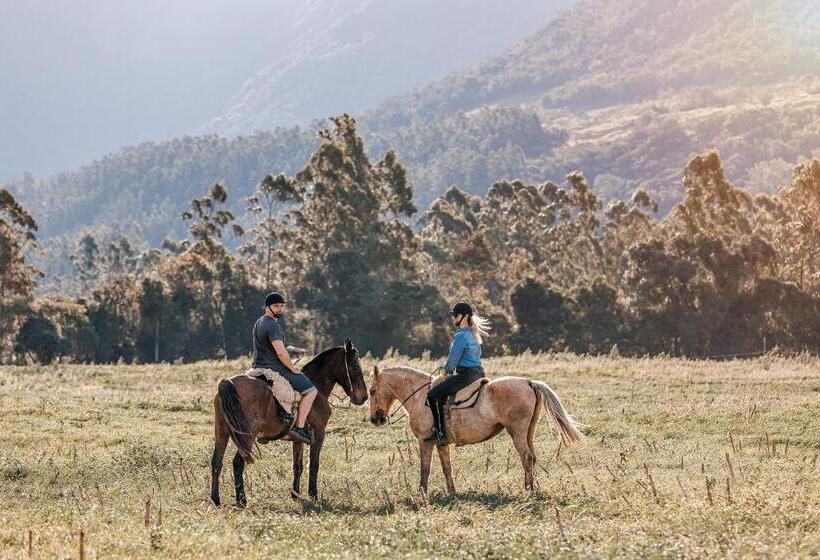 فندق Chalés Cânions Do Brasil