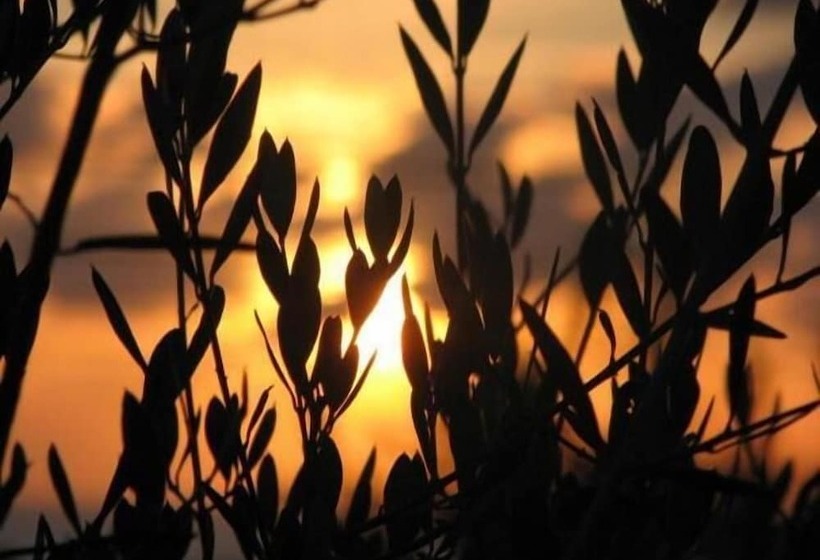 ベッドアンドブレックファースト La Valle Verde