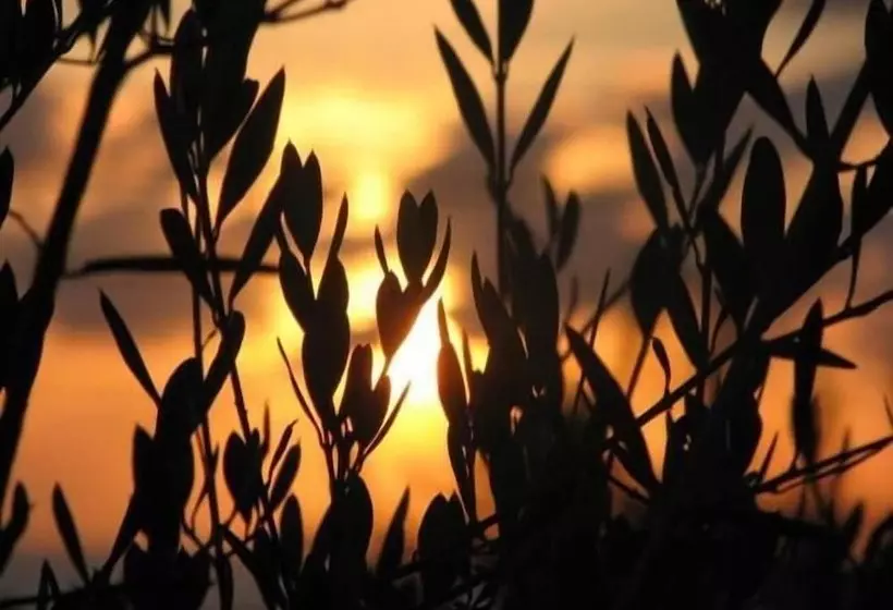 تختخواب و صبحانه La Valle Verde