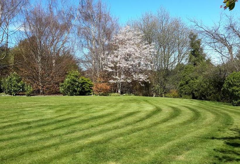 Bed and Breakfast Leithview B And B