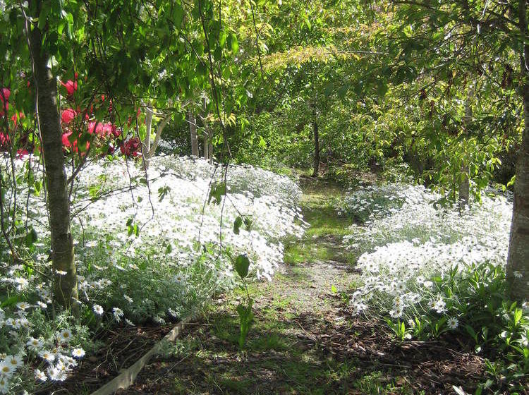 Bed and Breakfast Leithview B And B