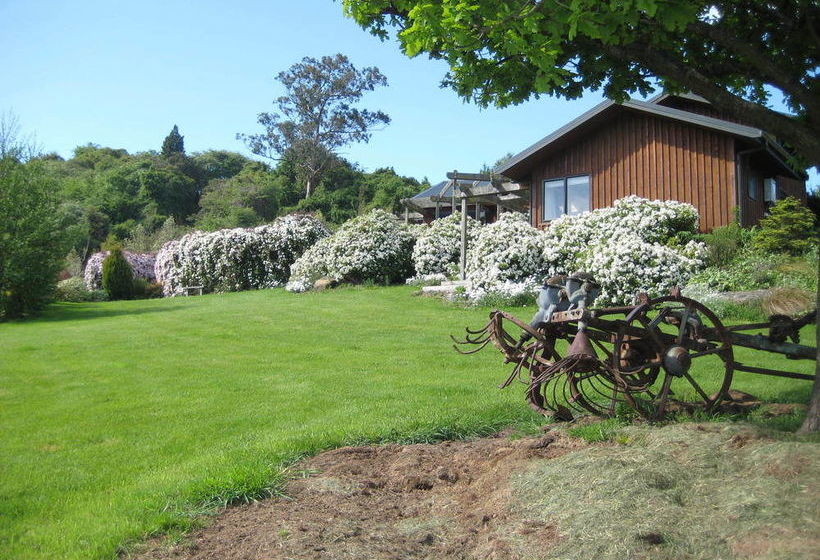 Bed and Breakfast Leithview B And B