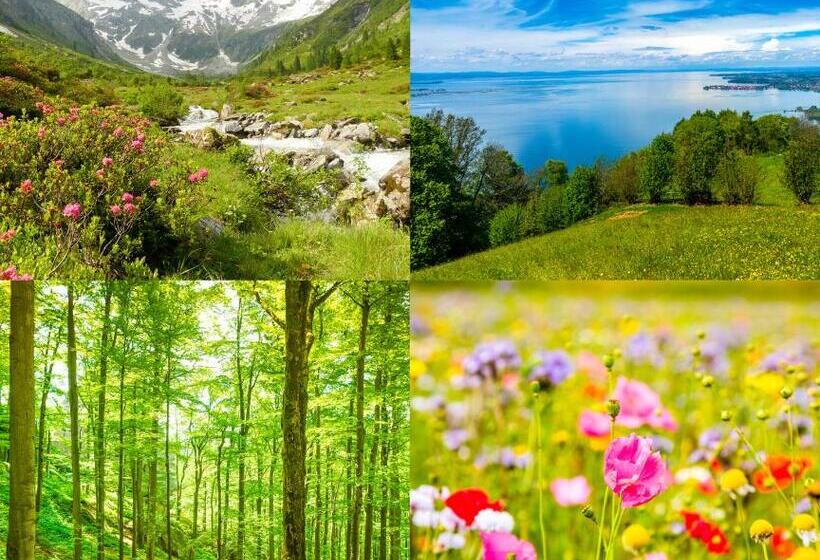 בית מלון כפרי Fritsch Am Berg Adults Only