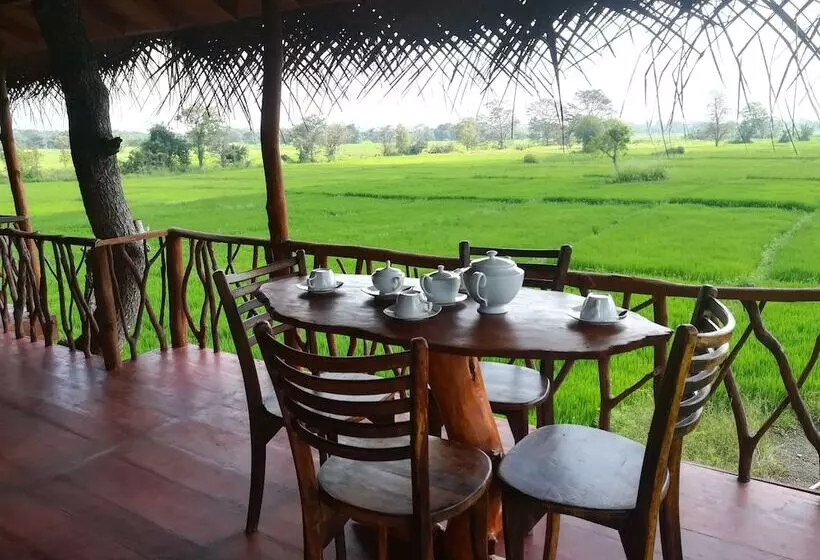 هتل The Hideout Sigiriya