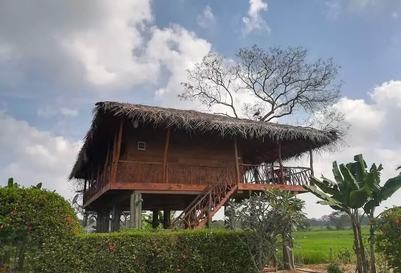 هتل The Hideout Sigiriya