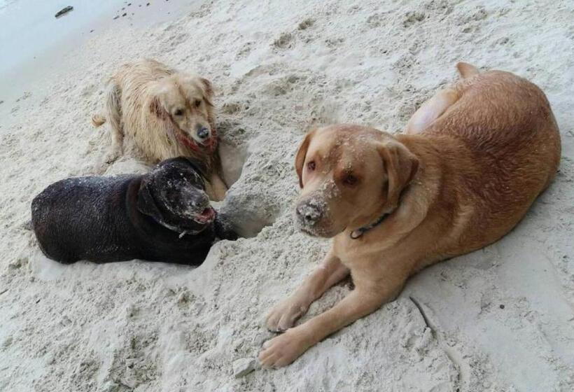 هتل Tubtim Resort