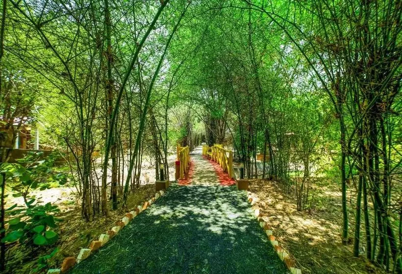 Lemon Tree Wildlife Resort, Bandhavgarh