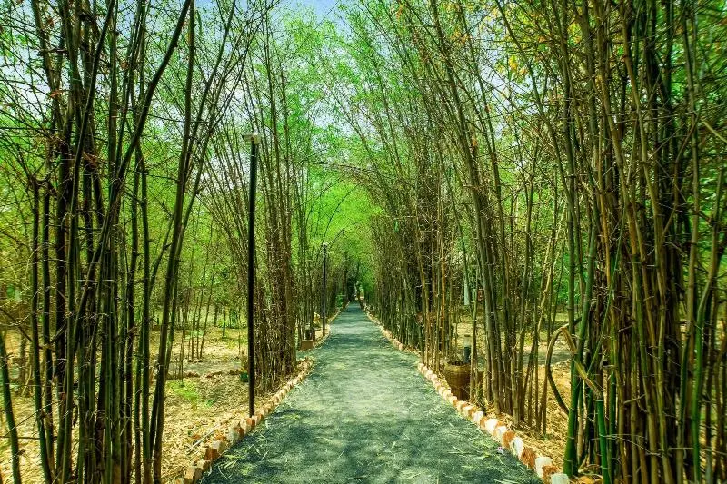 Lemon Tree Wildlife Resort, Bandhavgarh