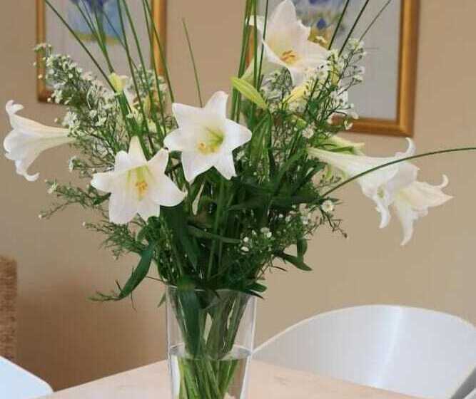 بنسيون Starfish Guest Lodge