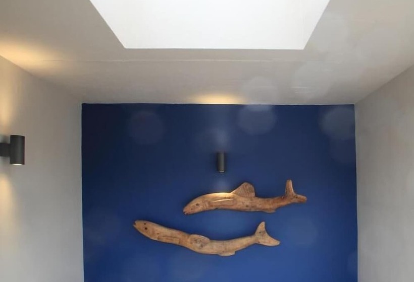 بنسيون Starfish Guest Lodge