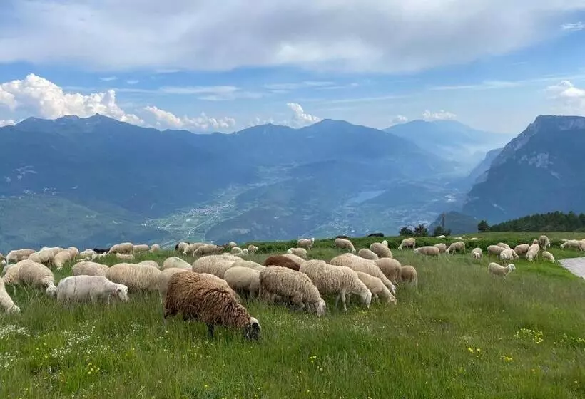 Aamiaismajoitus (B&B) Pedegagia