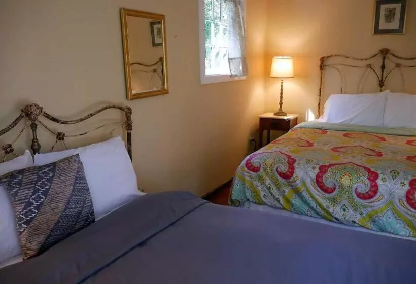 Hotelli Race Brook Lodge