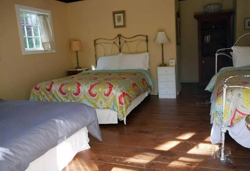 Hotelli Race Brook Lodge