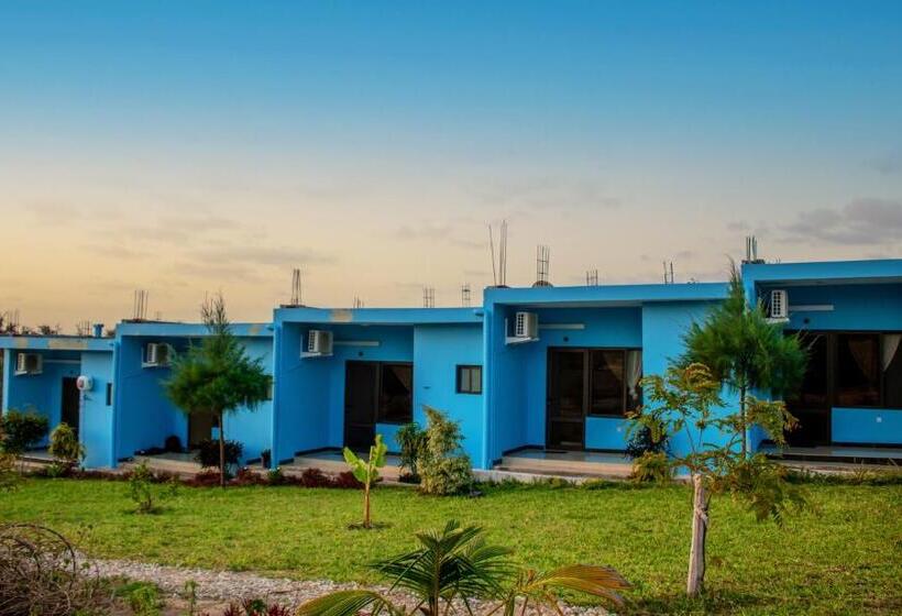 تختخواب و صبحانه Tofo Horizonte