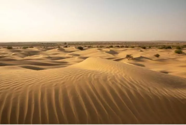 Hotelli Desert Yatra Resort