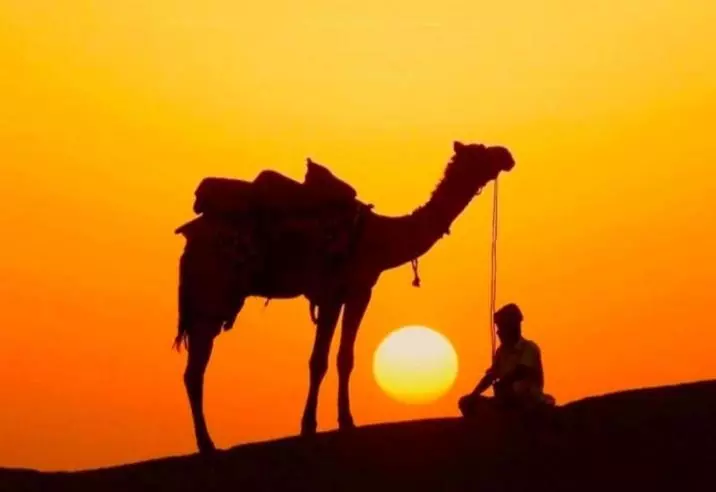 Hotelli Desert Yatra Resort