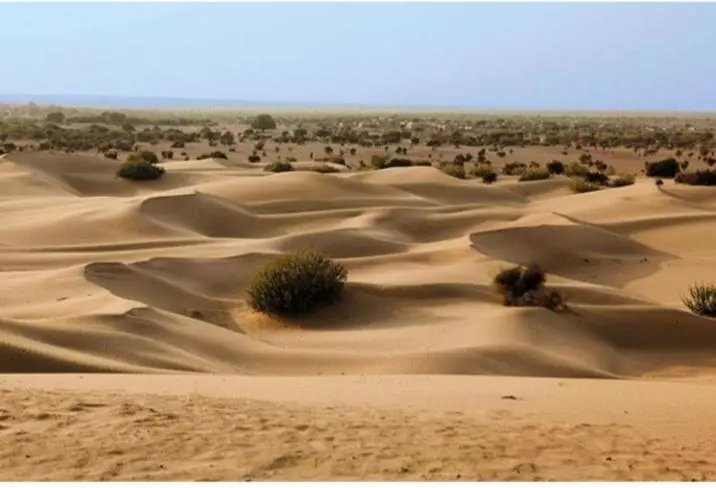 Hotelli Desert Yatra Resort