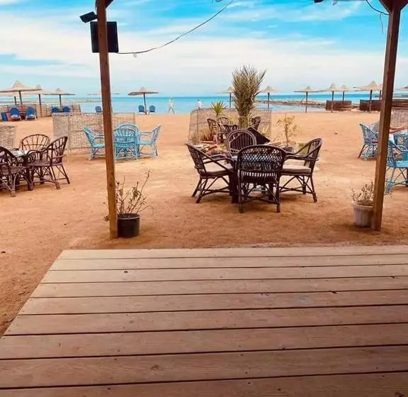 Turtles Beach Resort Hurghada Studio View Sea View Pool Private Beach Pools Anf Sunny Balcony