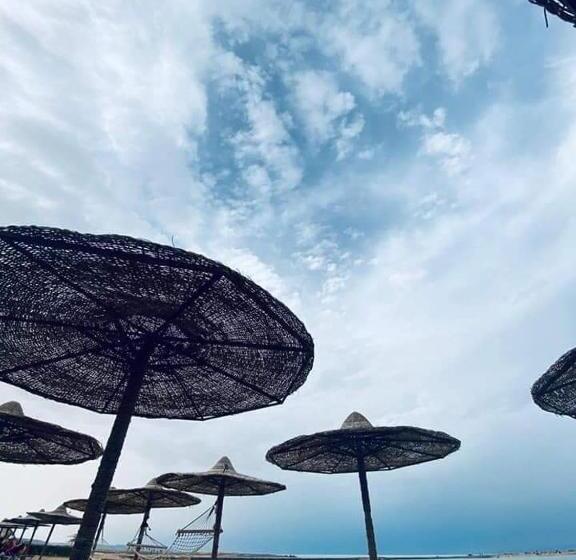 Turtles Beach Resort Hurghada Studio View Sea View Pool Private Beach Pools Anf Sunny Balcony