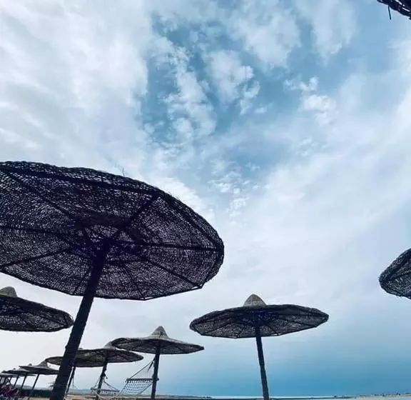 Turtles Beach Resort Hurghada Studio View Sea View Pool Private Beach Pools Anf Sunny Balcony