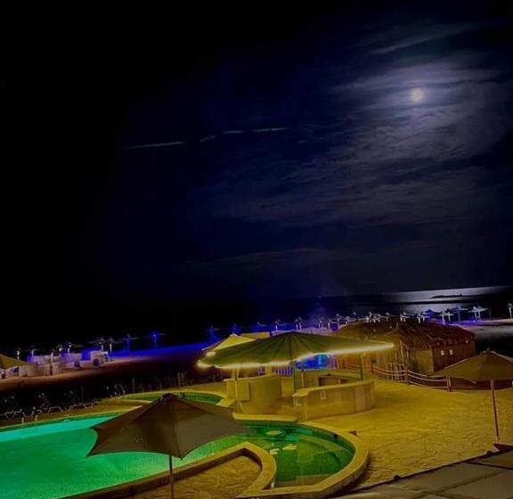 Turtles Beach Resort Hurghada Studio View Sea View Pool Private Beach Pools Anf Sunny Balcony
