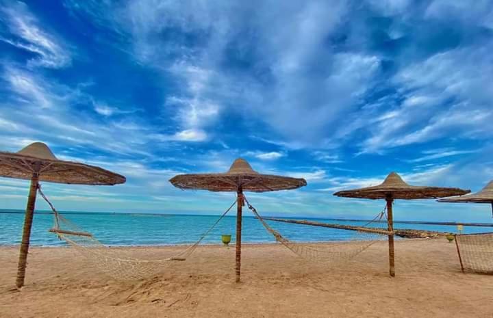 Turtles Beach Resort Hurghada Studio View Sea View Pool Private Beach Pools Anf Sunny Balcony