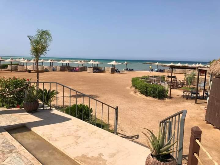 Turtles Beach Resort Hurghada Studio View Sea View Pool Private Beach Pools Anf Sunny Balcony