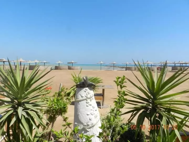 Turtles Beach Resort Hurghada Studio View Sea View Pool Private Beach Pools Anf Sunny Balcony