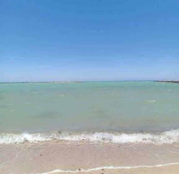 Turtles Beach Resort Hurghada Studio View Sea View Pool Private Beach Pools Anf Sunny Balcony