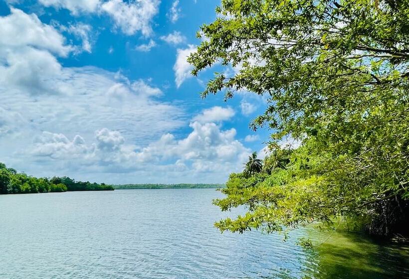 Bed and Breakfast The Thotupola Habaraduwa By Taprobanarome