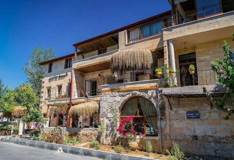 ホテル Aysel Inn House