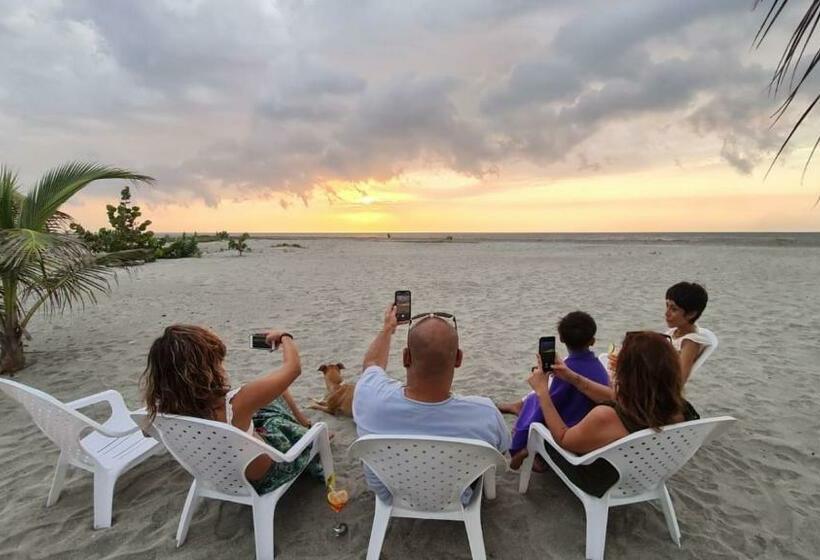 Eco Hotel Chevere Beach