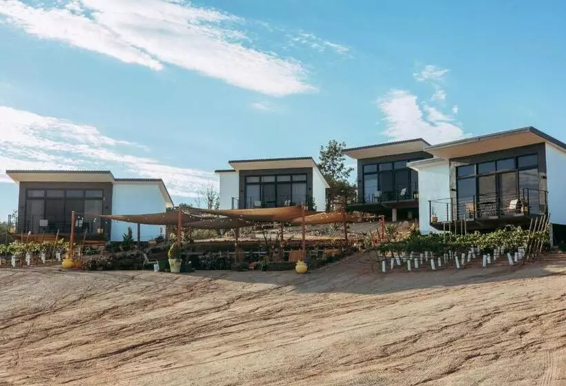 Aamiaismajoitus (B&B) Villa Loar, Valle De Guadalupe