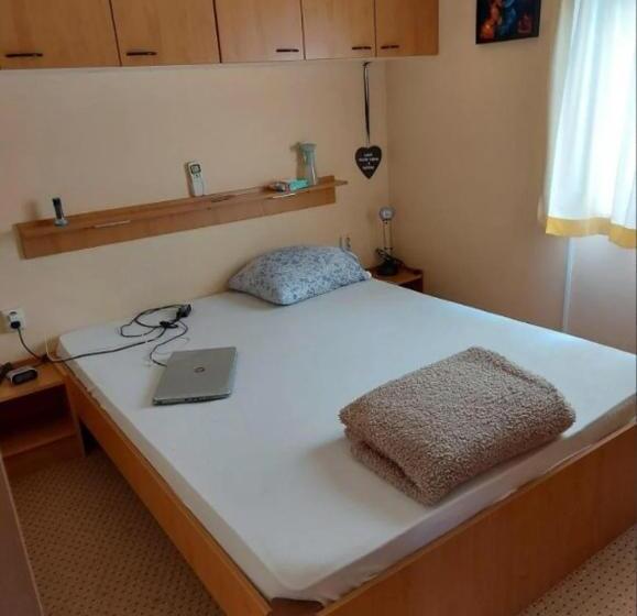 酒店 Datsja Baboeska