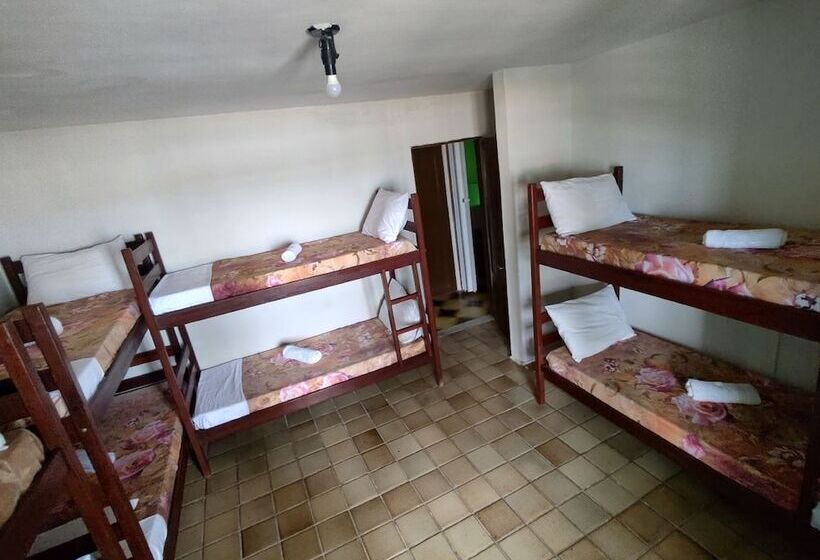 Maragogi Social Hostel