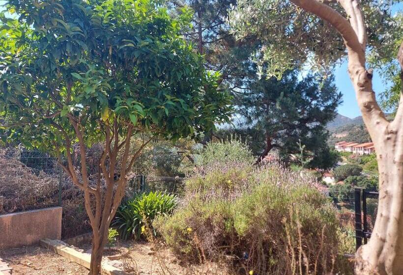 پانسیون Sur Les Hauteurs De Collioure