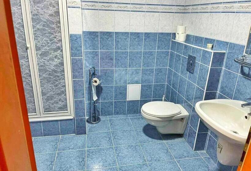 Pensionat Alkotmány Vendégház