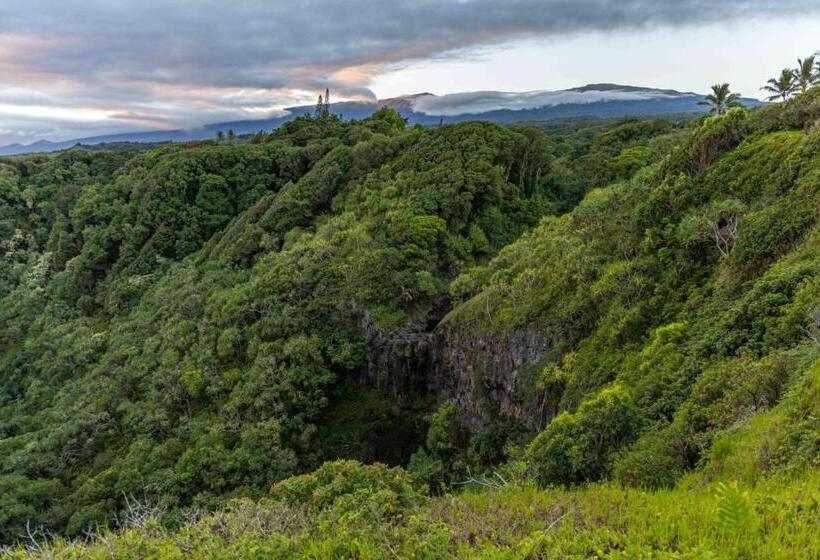 Hotel Plumeria Room On A Lush Farm On Maui S North Shore