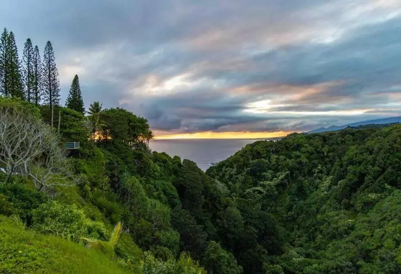 Hotelli Plumeria Room On A Lush Farm On Maui S North Shore