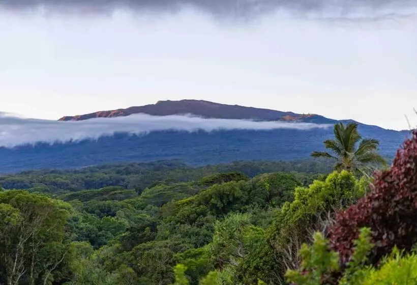 Hotelli Plumeria Room On A Lush Farm On Maui S North Shore