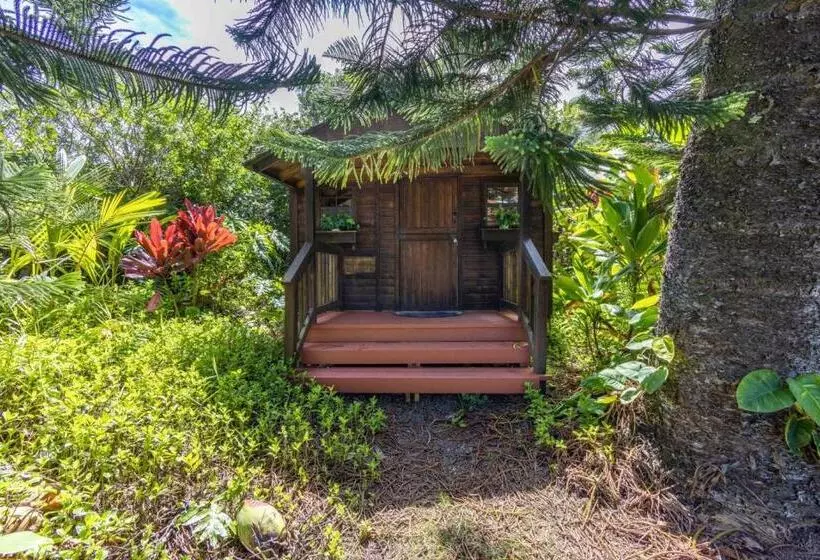 Hotelli Plumeria Room On A Lush Farm On Maui S North Shore