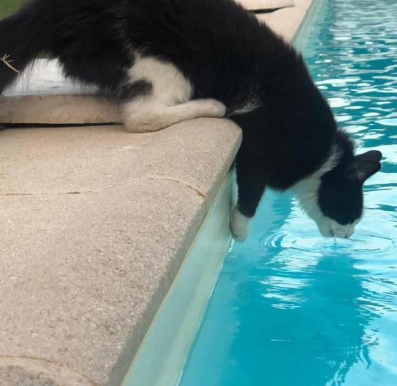 בית מלון כפרי Des 4 Vents Esprit Camargue