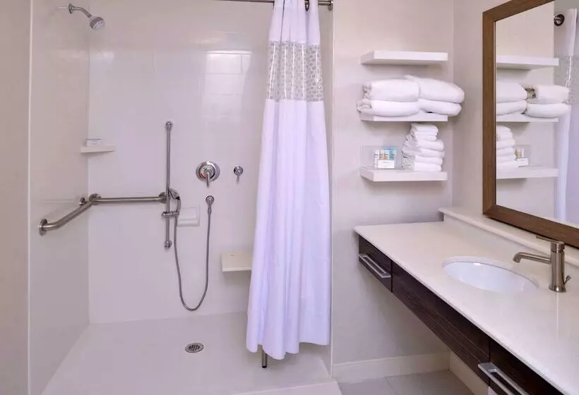 ホテル Hampton Inn & Suites Albanyeast Greenbush