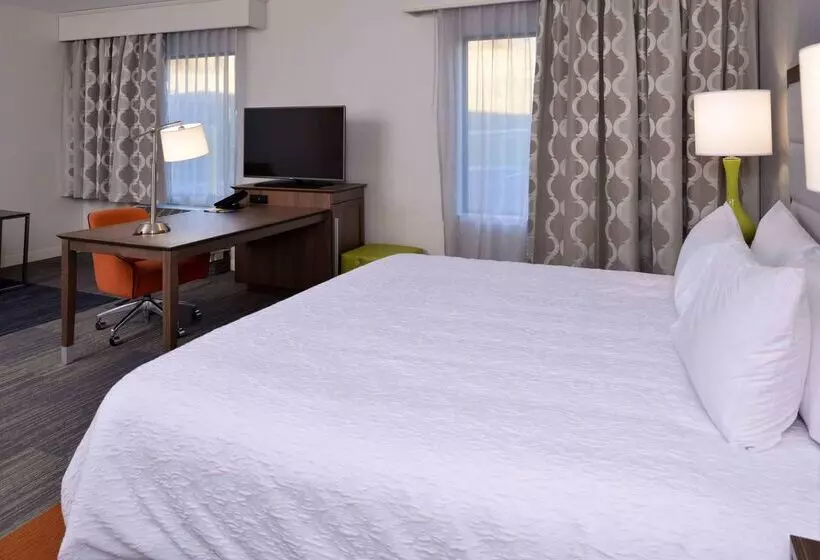 ホテル Hampton Inn & Suites Albanyeast Greenbush