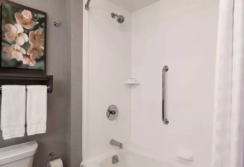 ホテル Homewood Suites By Hilton Washington Dc Convention Center