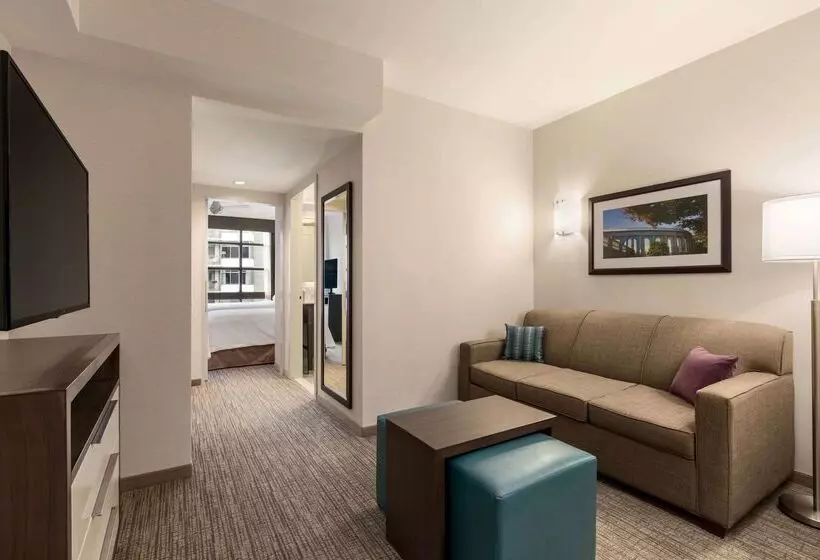ホテル Homewood Suites By Hilton Washington Dc Convention Center
