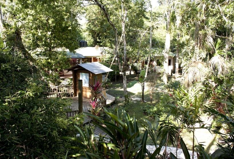 هتل Jaguar Inn Tikal