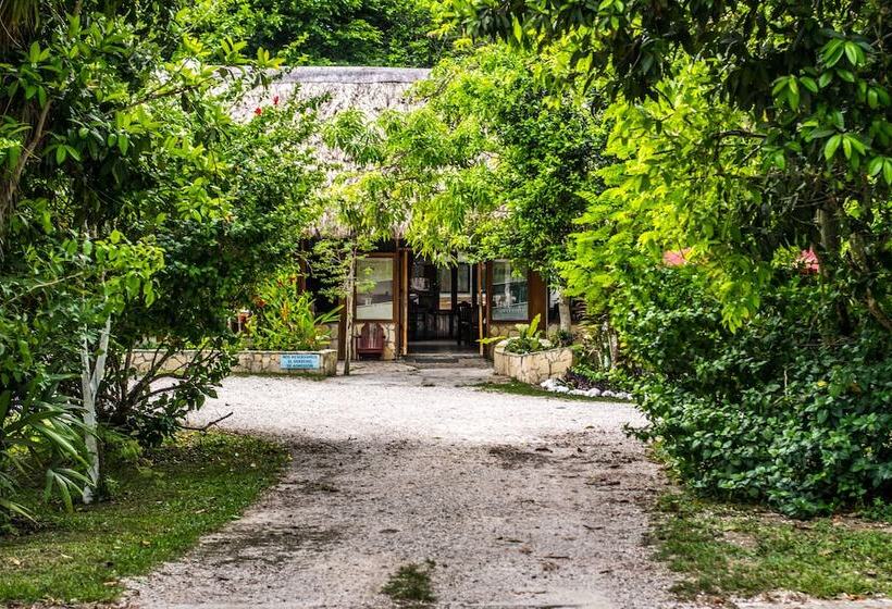 هتل Jaguar Inn Tikal